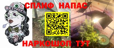 сатива Кулебаки